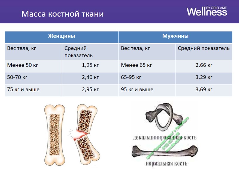 Масса костной ткани